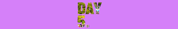 Day 5